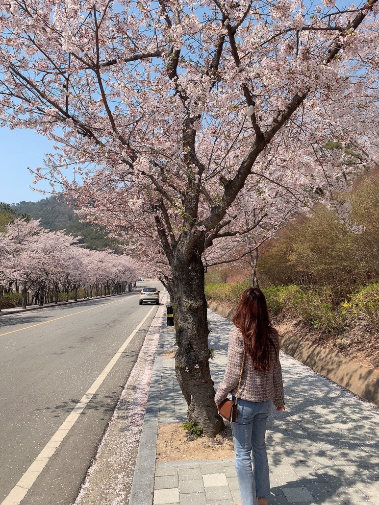 영광떡방앗간 이미지