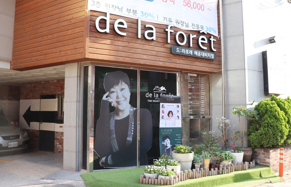 드라포레비치점 이미지