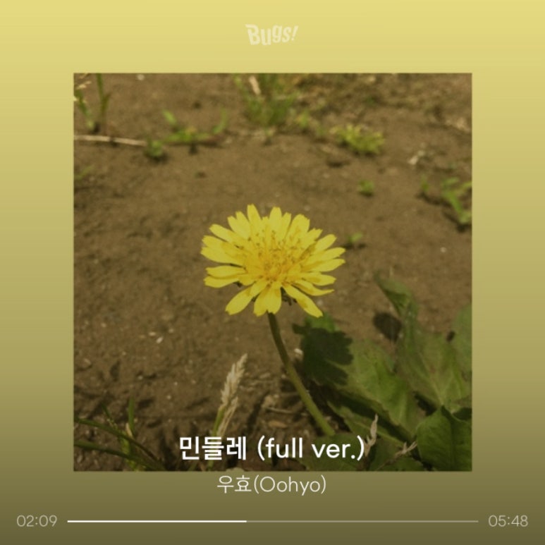 소확행 이미지