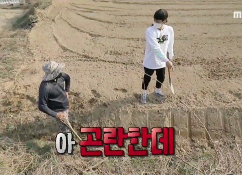 복숭아아저씨 이미지