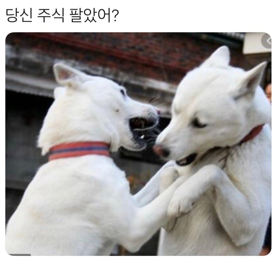 베스트리서치 이미지