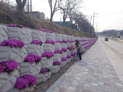 [국도4] 옥천군 이백리 이미지