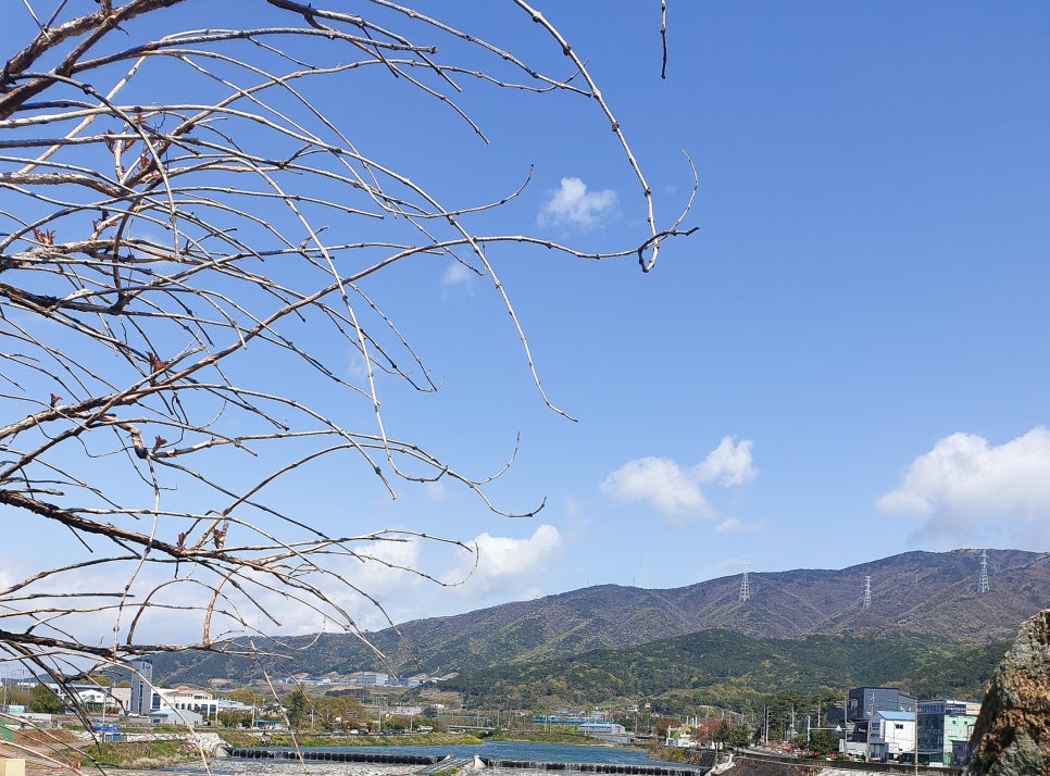 명가창희정육식당 이미지