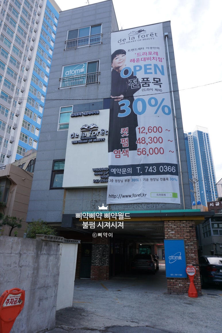드라포레비치점 이미지
