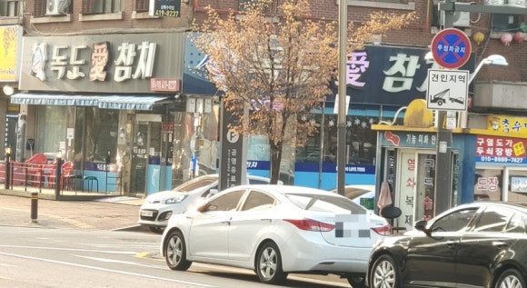 독도애참치 이미지