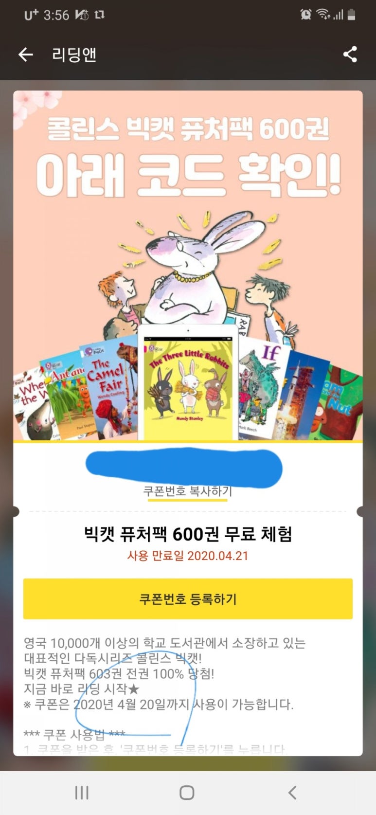 빅빅캣 이미지