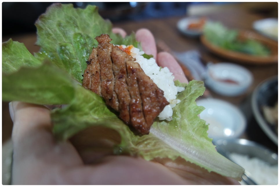 싱싱목장 이미지