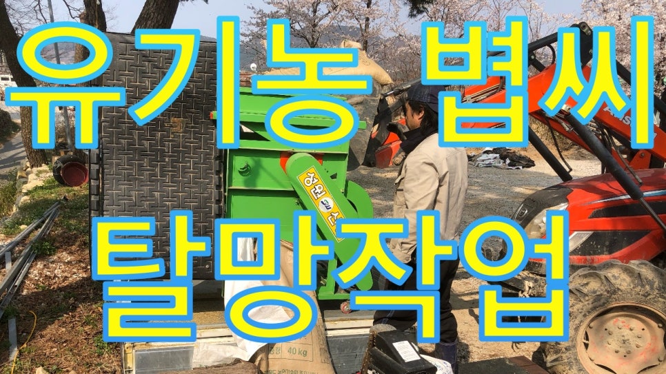 남원종자 이미지