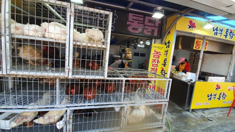 남부닭집 이미지