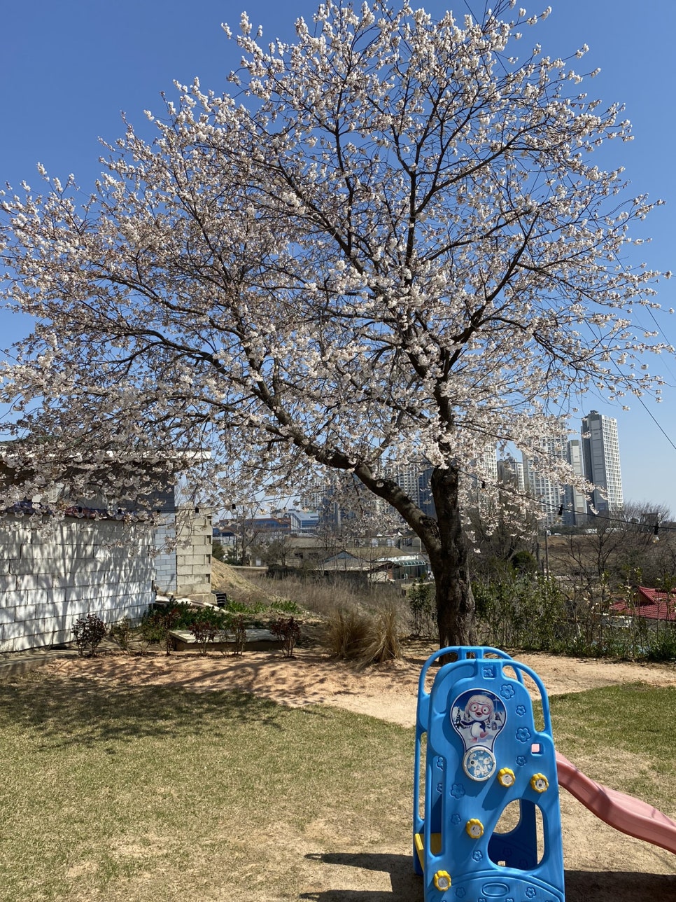 비원카페 이미지