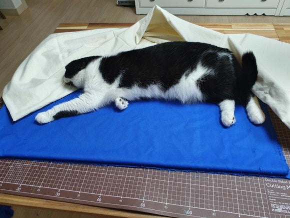 찬스당구장 이미지