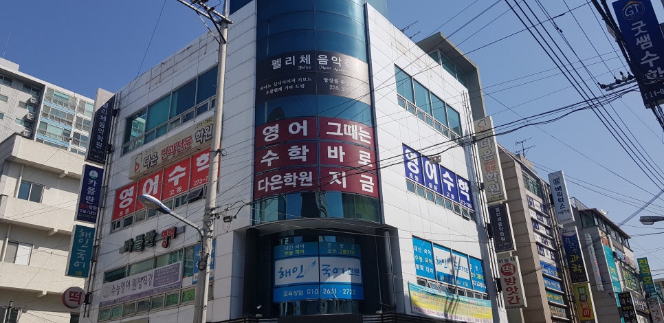 펠리체음악학원 이미지
