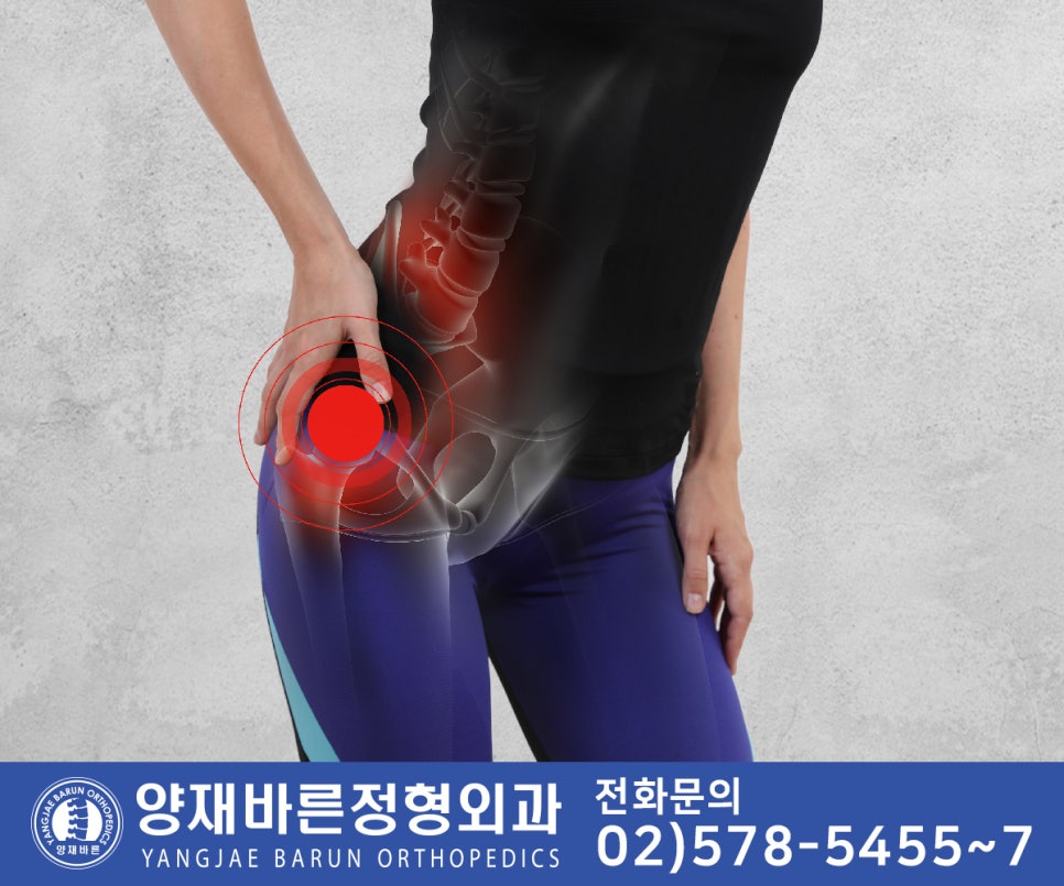바른정형외과 이미지