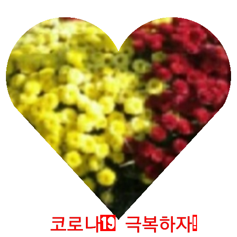 대가잔치국수 이미지