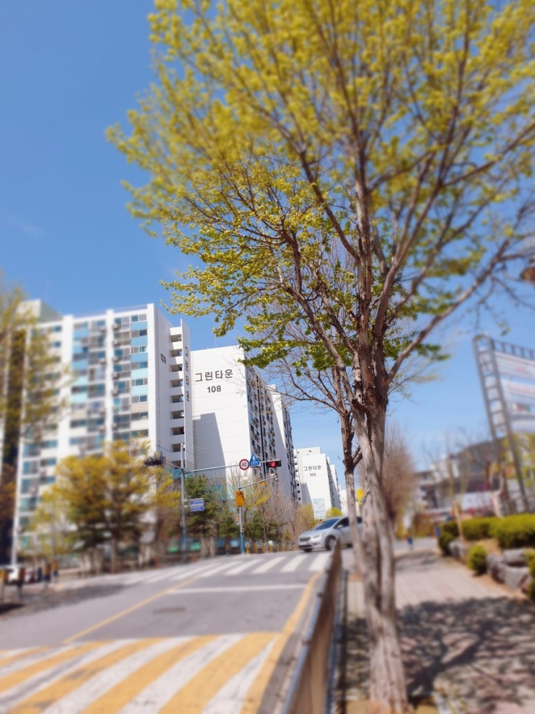 연세홈닥터의원 이미지