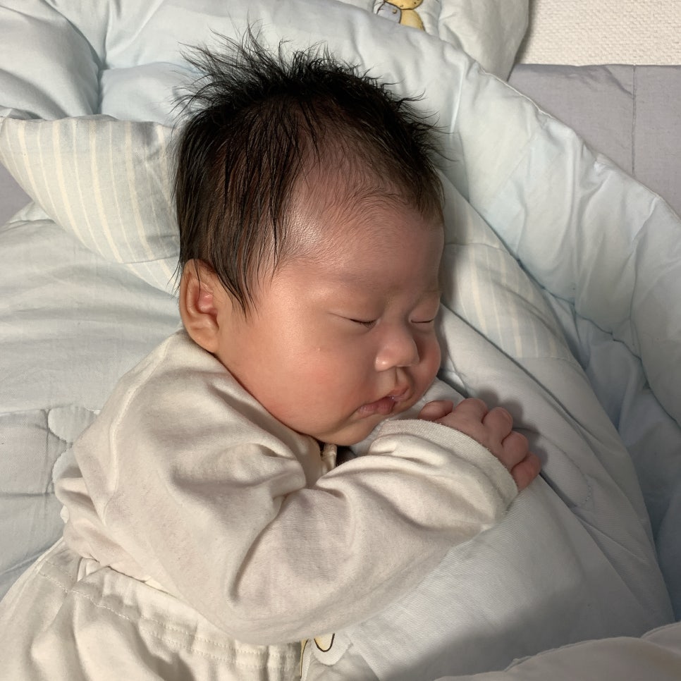 베이비파스텔스튜디오청주 이미지