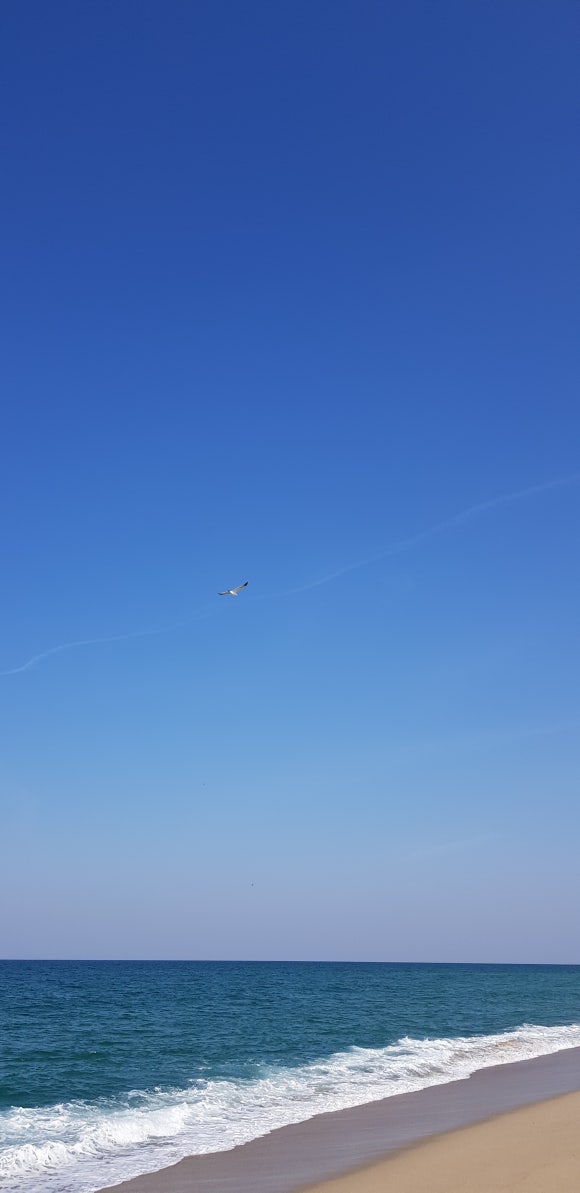 연곡제과점 이미지