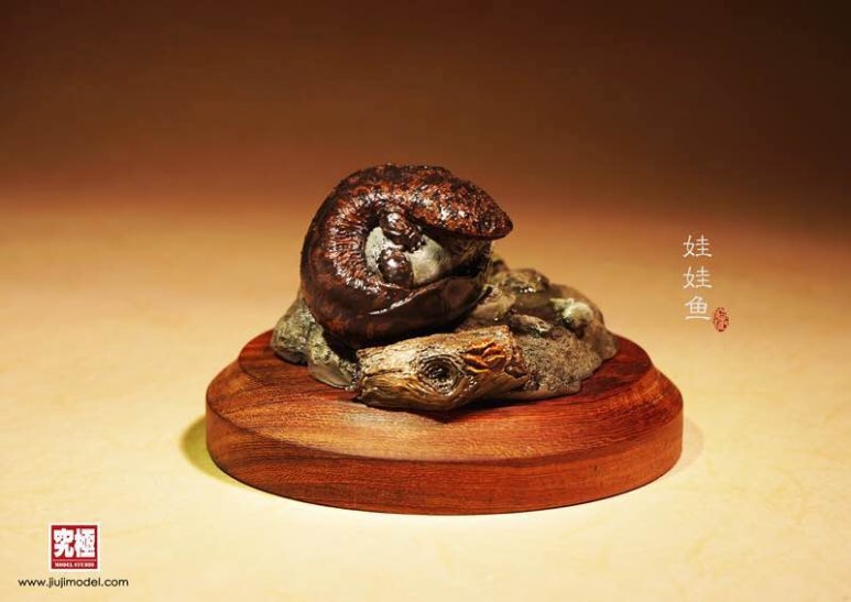 중국장수도롱뇽(Andrias davidianus) : 네이버 블로그