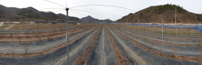 산들바람농장 이미지