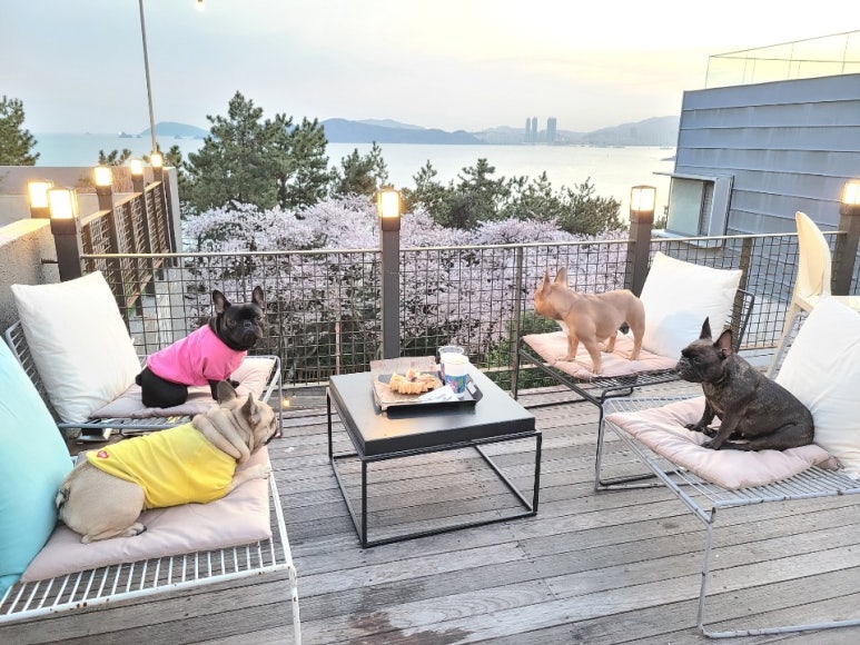 달맞이휴게소 이미지