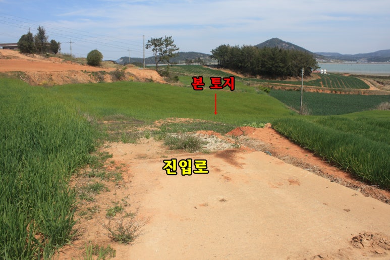 조망지역 이미지