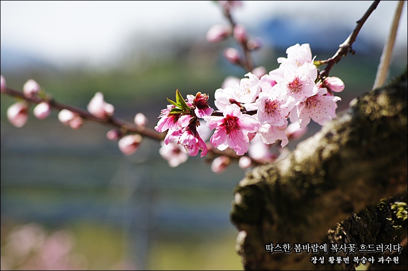 천지인상사 이미지