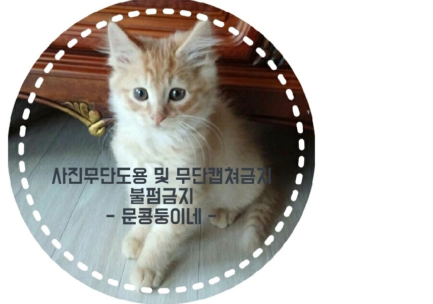 광천철희네토굴새우젓 이미지