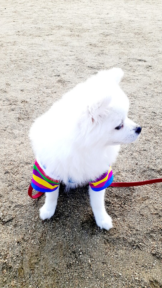 한복입다 이미지