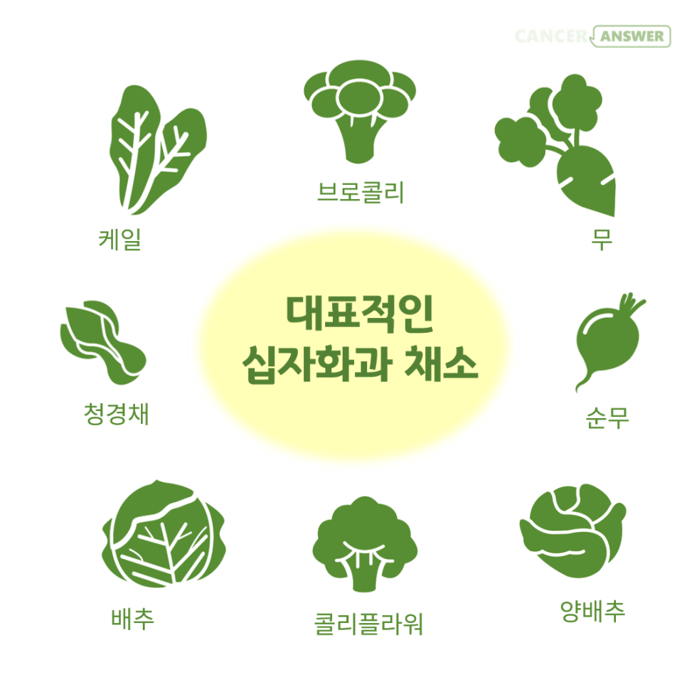 청담피트니스 이미지