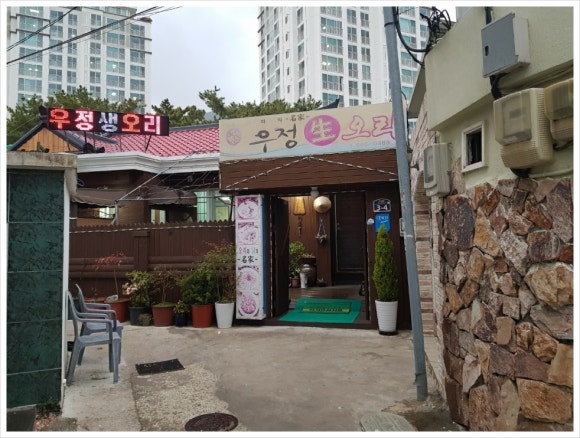 우정생오리 이미지