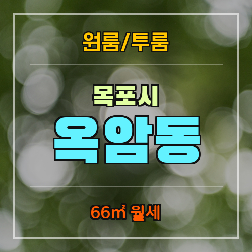 목포옥암초등학교 이미지