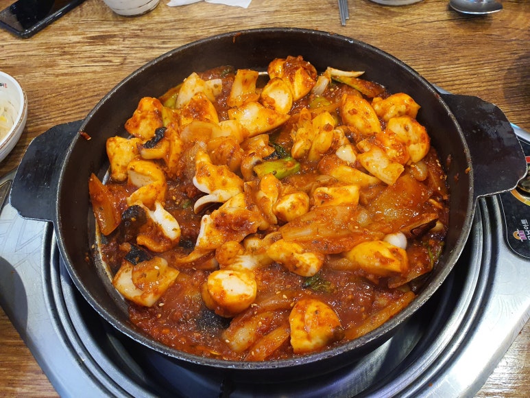 조가네갑오징어 이미지
