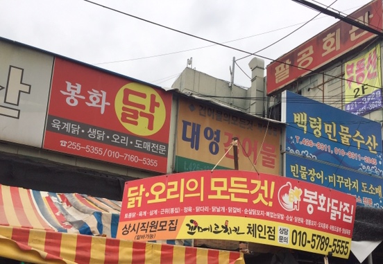 생닭집 이미지