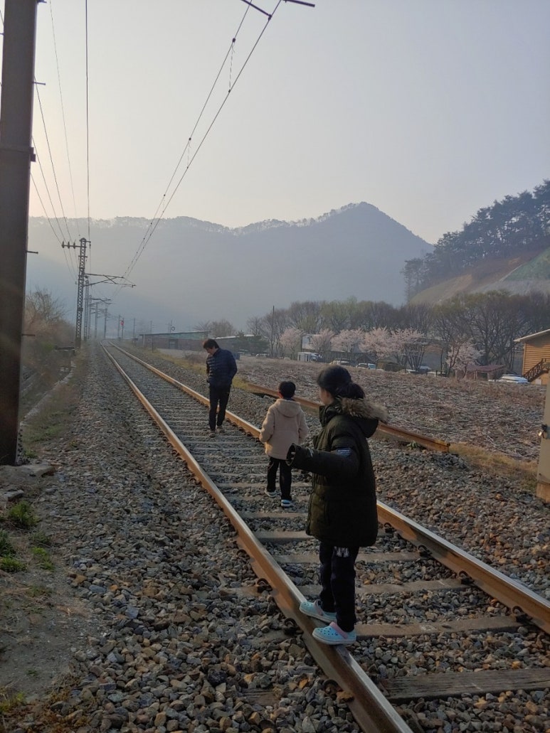 엉클캠프 이미지
