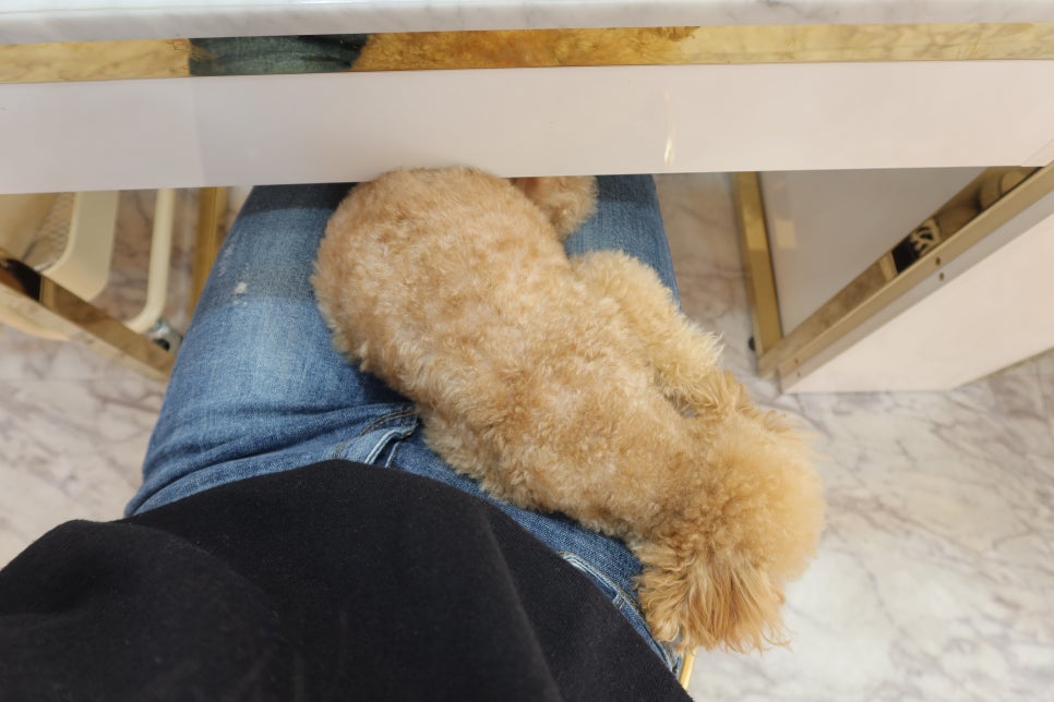 쪼꼬네일 이미지