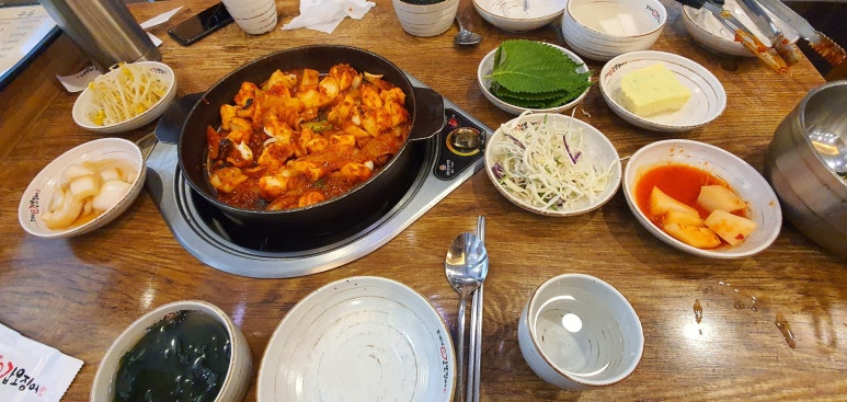 조가네갑오징어 이미지