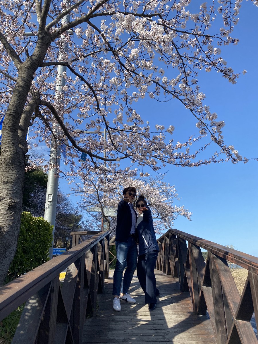 가리시오 이미지