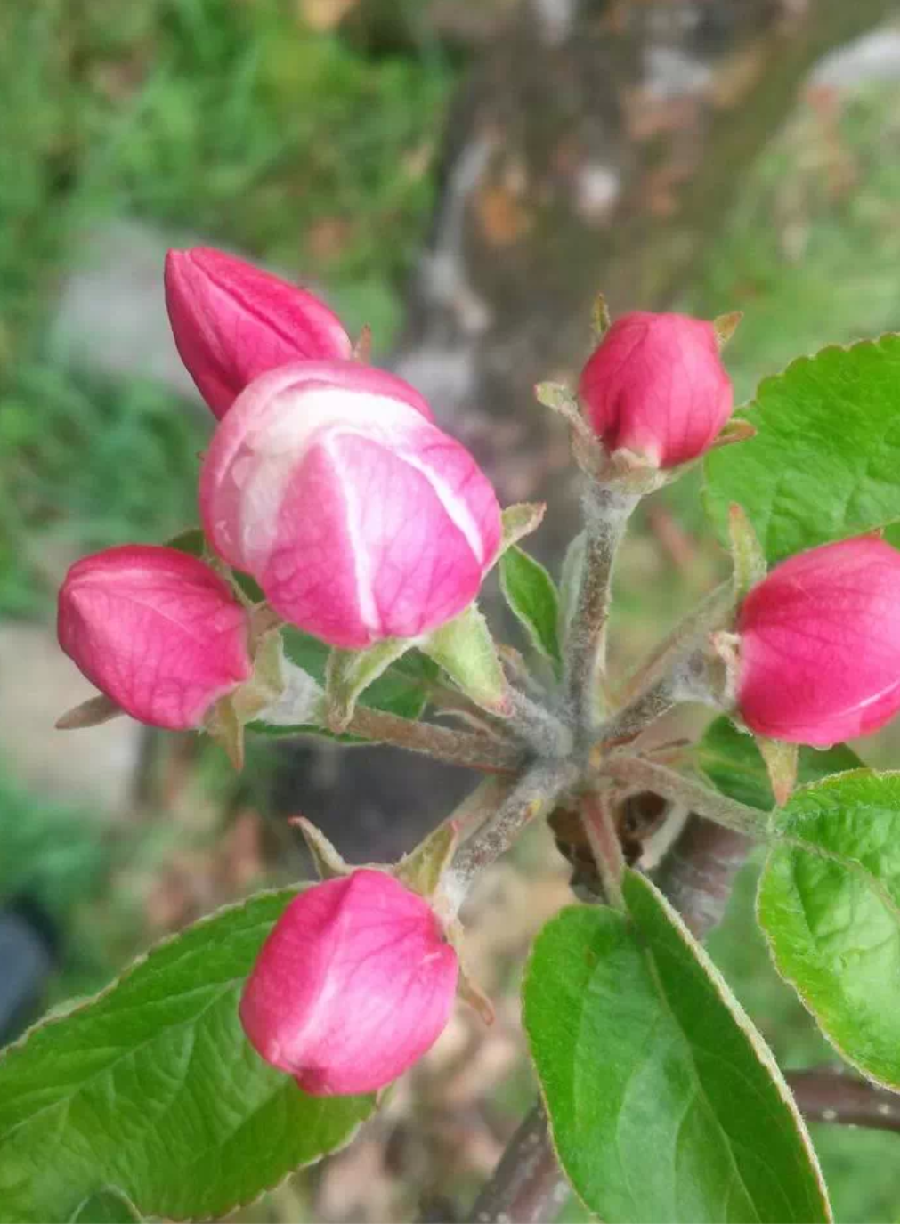 백산상회 이미지