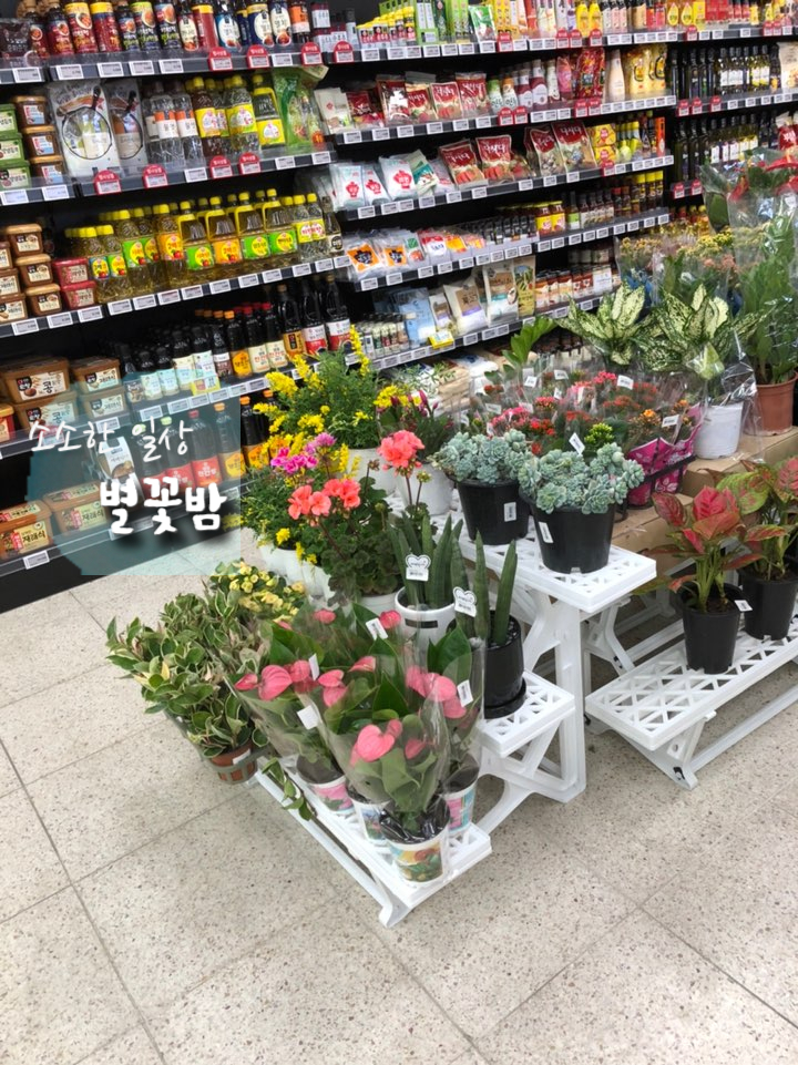 순천농협파머스마켓 봉화점 이미지