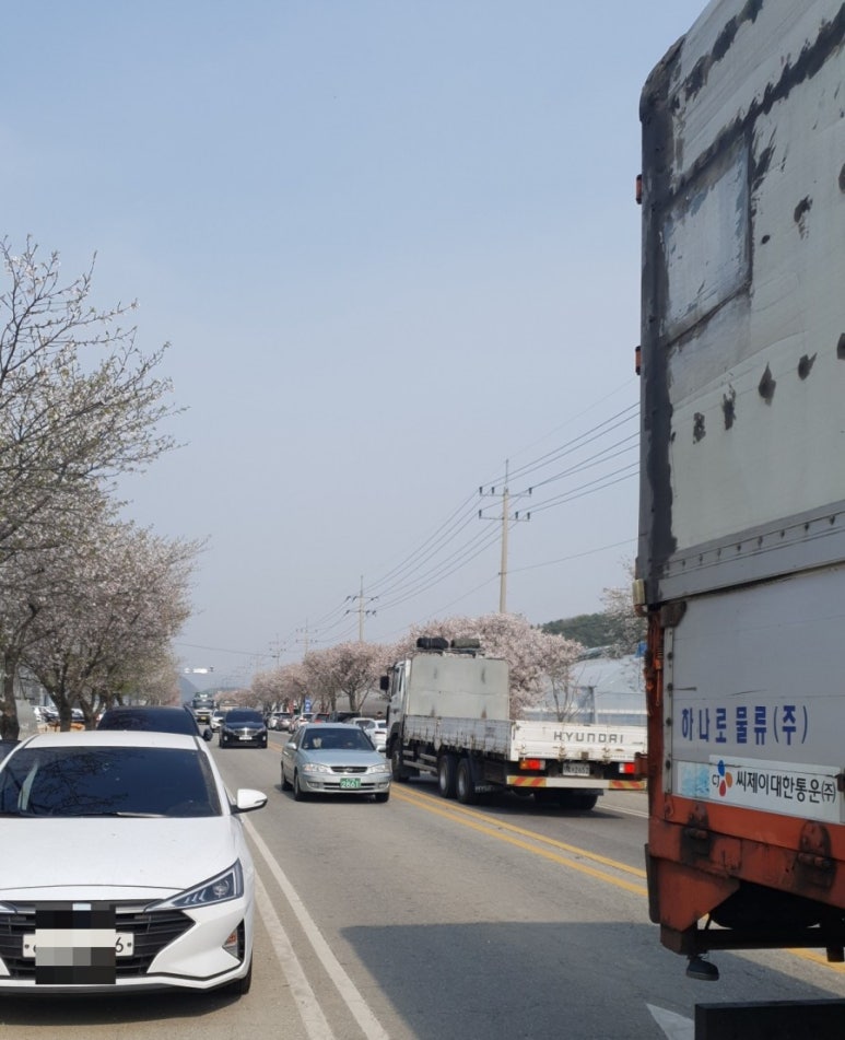 예삐농장 이미지