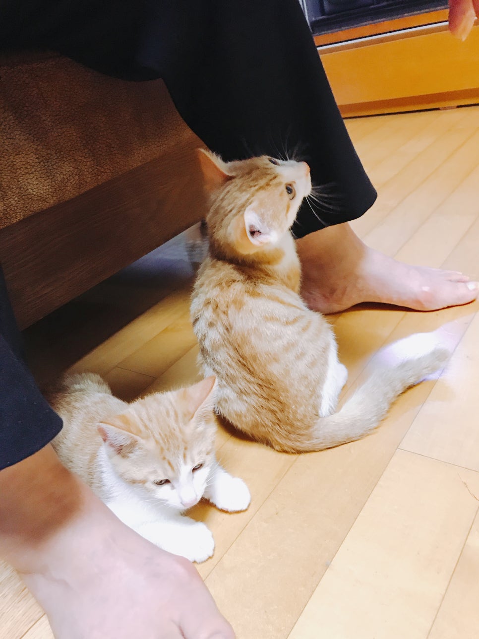 누네띠네헤어 이미지