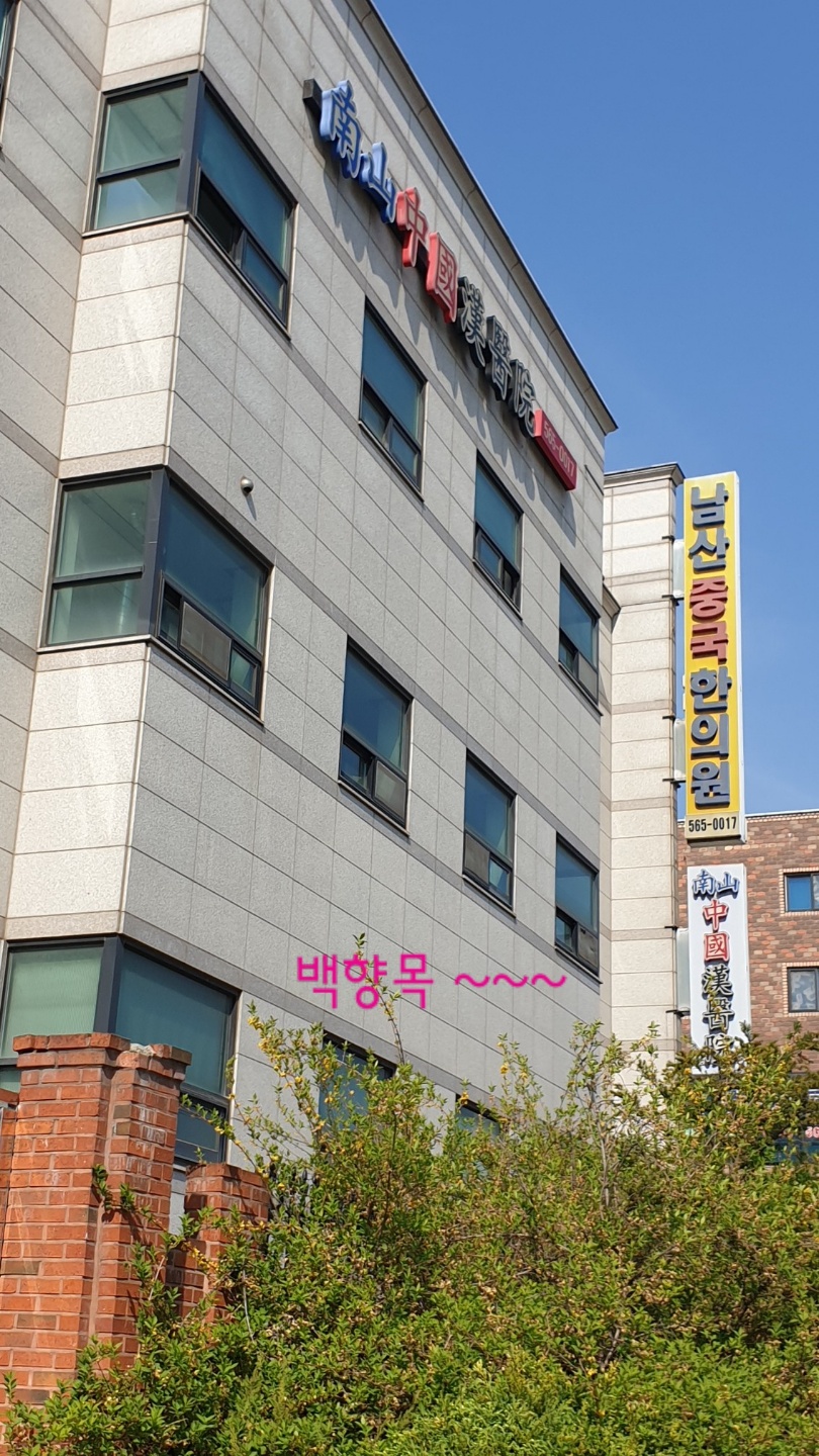 남산한의원 이미지