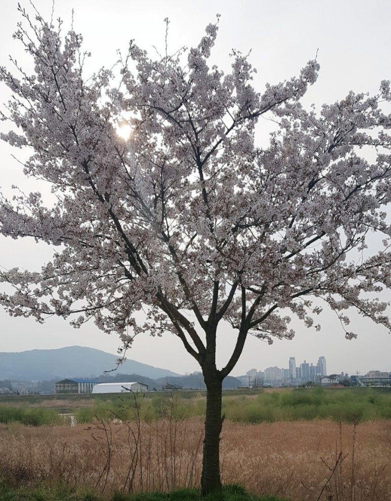 방방랜드 이미지