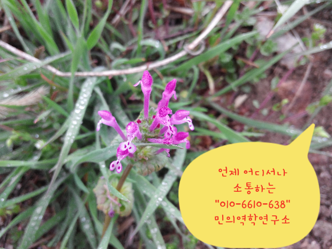 용천만물 이미지