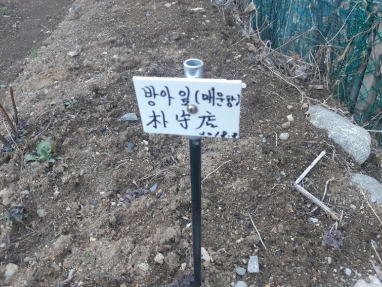 구름사이펜션 이미지