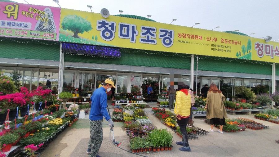 청마조경 이미지