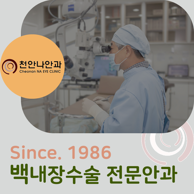천안나안과의원 이미지