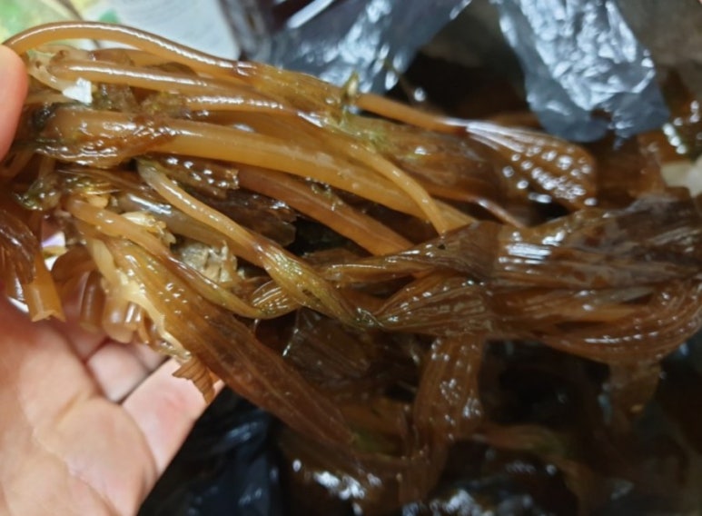 지리산청솔식품 이미지