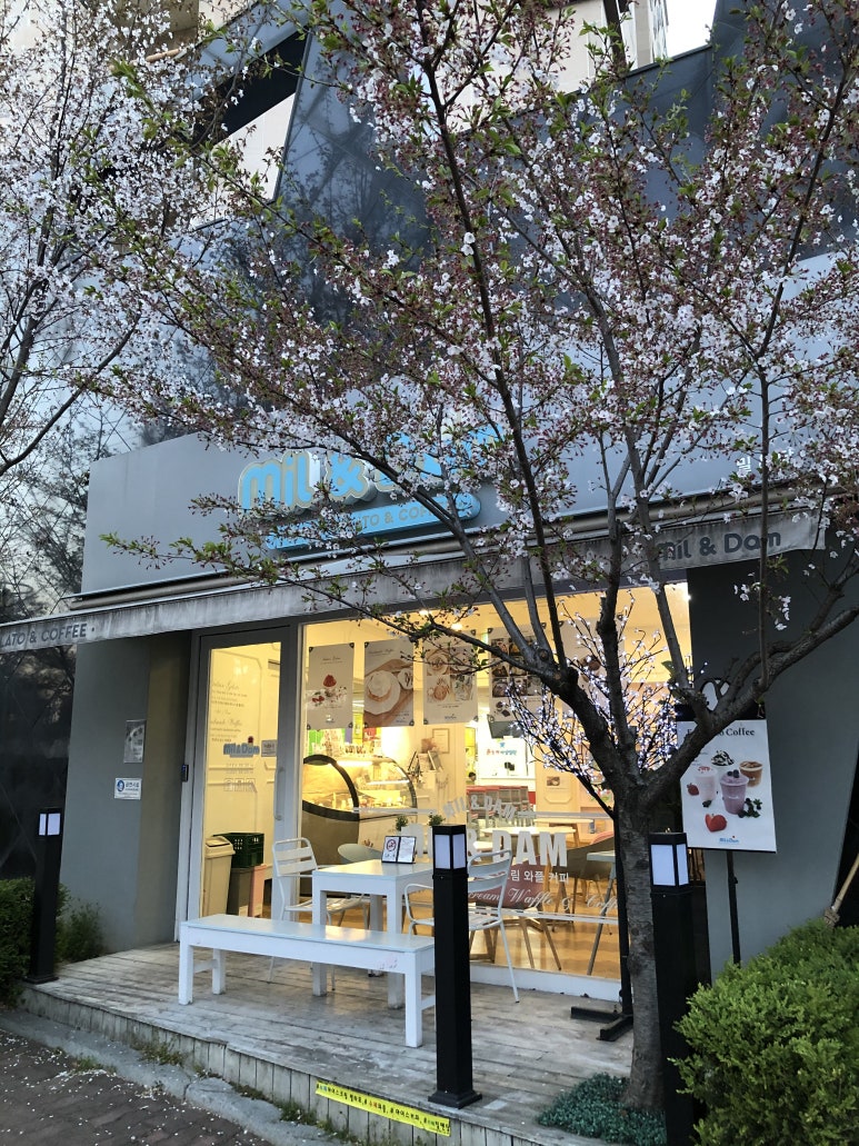 밀앤담 이미지