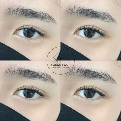 샵 다란 이미지
